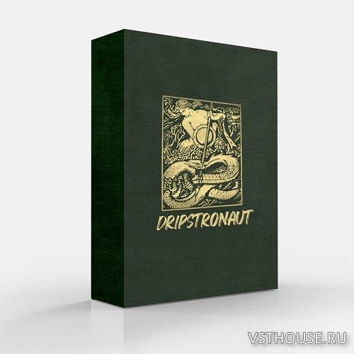 Ayy Walker - Dripstronaut Drum Kit, Loop Kit (WAV)