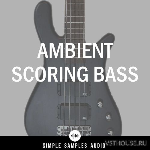 Simple Samples Audio - Ambient Scoring Bass 1.1.0 (KONTAKT)