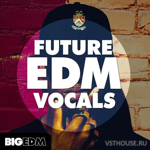 Big EDM - Future EDM Vocals (MiDi, WAV)