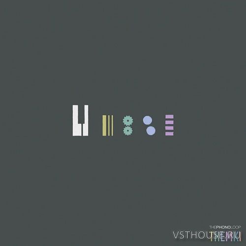 ThePhonoLoop - Themki 1.2.0 Full + Update (KONTAKT)