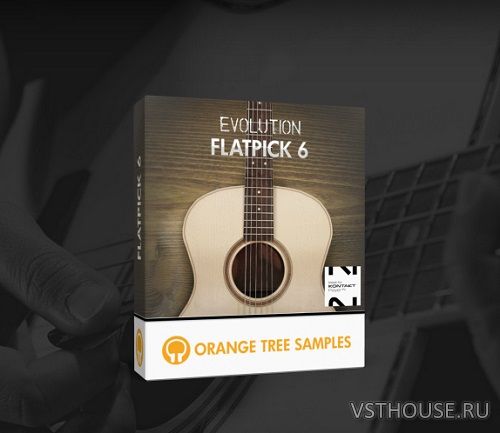 Orange Tree Samples - Evolution Flatpick 6 v1.3.0 Full + Update
