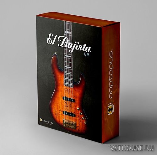 Looptopus - El Bajista 1.0.1 VST3, AU WIN.OSX x64