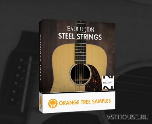 Orange Tree Samples - Evolution Steel Strings 1.3.0 Full + Update