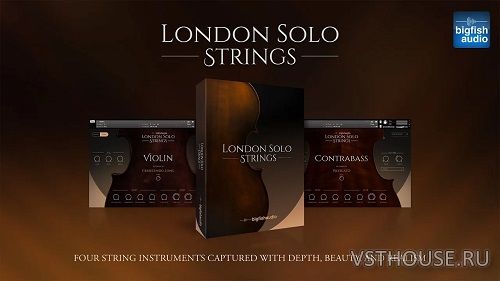 Big Fish Audio - London Solo Strings KP2 v2.0.0 (KONTAKT)