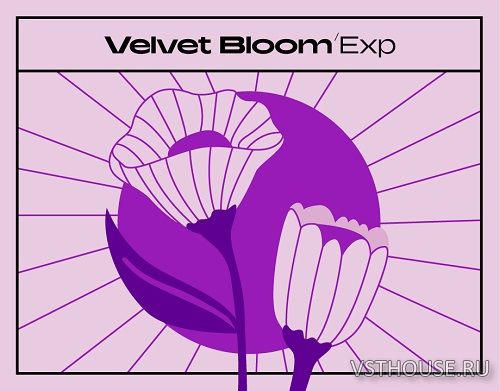 Native Instruments - Velvet Bloom Expansion Native Instruments - Velvet Bloom Expansion