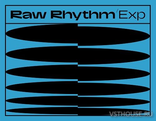 Native Instruments - Raw Rhythm Expansion Native Instruments - Raw Rhythm Expansion