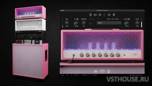 Neural DSP - Archetype Tim Henson X v1.0.1