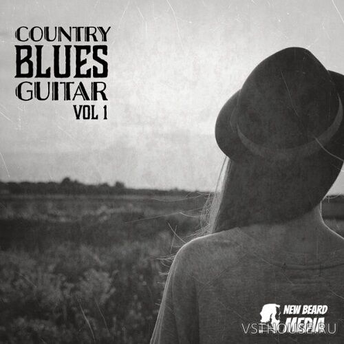 New Beard Media - Country Blue Guitars Vol.1 (WAV)