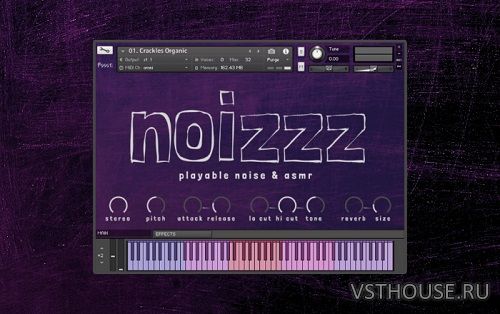 Pssst! Instruments - Noizzz (KONTAKT)