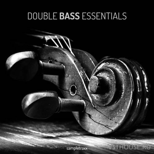Sampletraxx - Double Bass Essentials (KONTAKT)