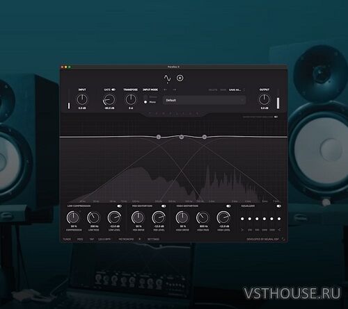 Neural DSP - Parallax X v1.0.0 SAL, VST, VST3, AAX x64 [R2R]