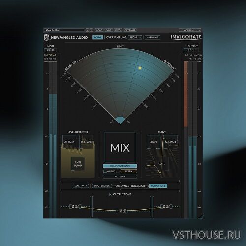Newfangled Audio - Invigorate v1.4.0 VST, VST3, AAX x64 [R2R]