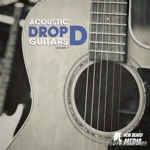 New Beard Media - Acoustic Drop D Guitars Vol.1 (WAV)
