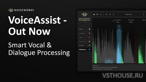 NoiseWorks - VoiceAssist v1.0.10 VST3, ARA, AAX х64 [MOCHA]