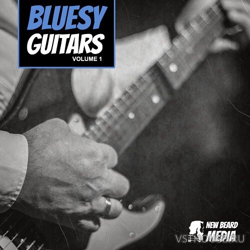 New Beard Media - Bluesy Guitars Vol.1 (WAV)
