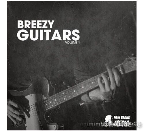 New Beard Media - Breezy Guitars Vol.1 (WAV) New Beard Media - Breezy Guitars Vol.1 (WAV)