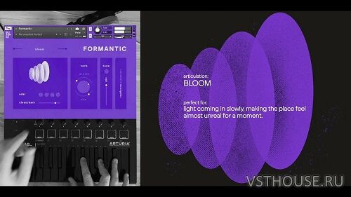Inlet Audio - Formantic (KONTAKT)