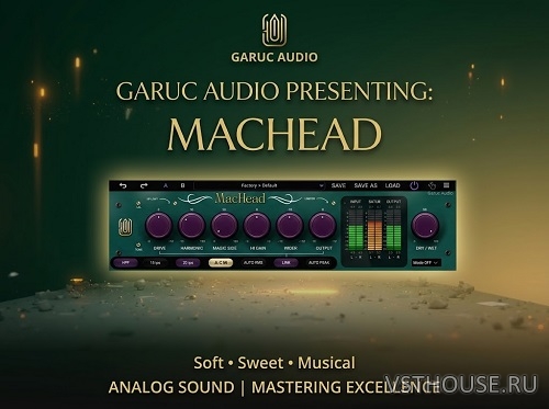 GARUC Audio - MacHead 1.1.1, VST3, AAX x64 [MOCHA]