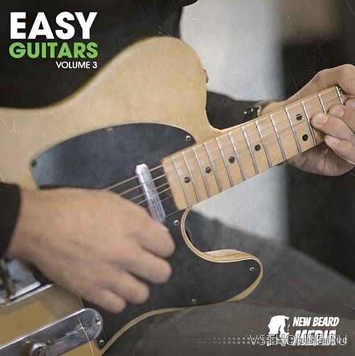 New Beard Media - Easy Guitars Vol.3 (WAV)