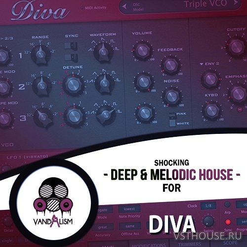 Vandalism - Shocking Deep and Melodic House For Diva Vandalism - Shocking Deep and Melodic House For Diva