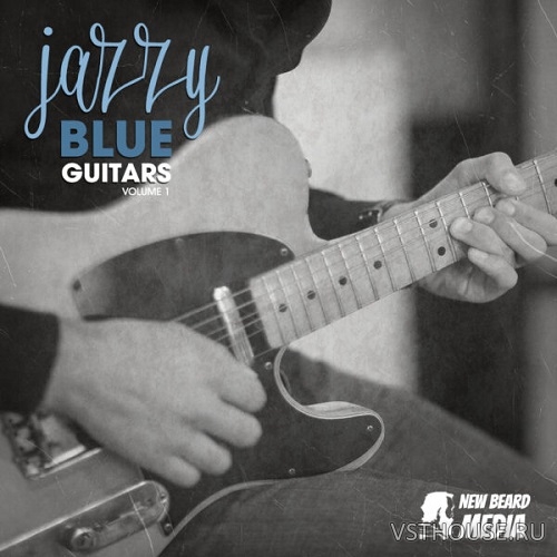 New Beard Media - Jazzy Blues Guitars Vol.1 (WAV)