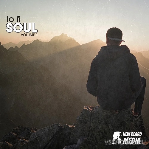 New Beard Media - Lo-Fi Soul Vol.1 (WAV) New Beard Media - Lo-Fi Soul Vol.1 (WAV)